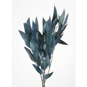 ドライフラワー 花材 材料 ウィロー ユーカリ ブルー グリーン 約35g 大地農園 ドライ 葉｜solargift