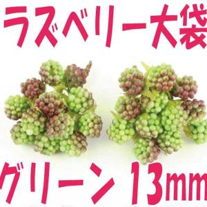 ラズベリーピック13mm グリーン 袋 24本入 大地農園プリザーブドフラワー 花材｜solargift