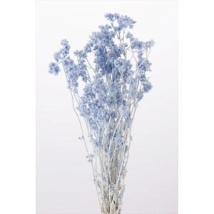 No 404 クリスパム ドライフラワーセット 大地農園 Zkgmu Kz