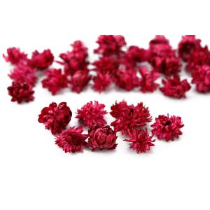 ドライフラワー 花材 ヘリクリサムの商品一覧 通販 Yahoo ショッピング