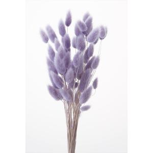 ドライフラワー 花材 ハニーテール エンジェルパープル 約10g 大地農園 紫 プリザーブドフラワー｜solargift
