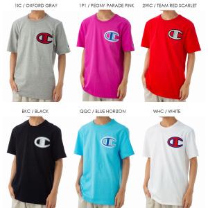 チャンピオン Tシャツ (6色) 半袖 HER...の詳細画像1