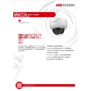 ハイクビジョン社 4MP固定ドーム型ネットワークカメラ DS-2CD2146G2-I
