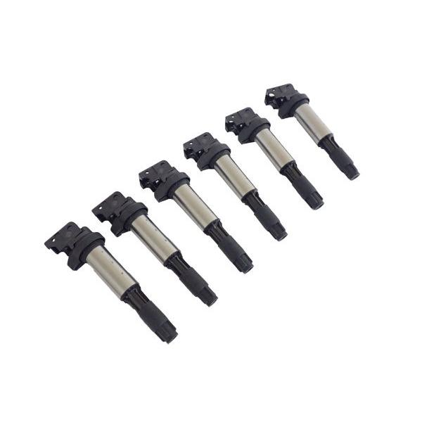 BMW E83 X3 E53 X5 E85 Z4 イグニッションコイル 6本セット(1台分) 2.2...