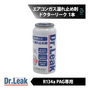 ドクターリーク Dr.Leak エアコンガス漏れ止め剤 R134a PAG 用 10本 LL