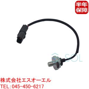 三菱（MITSUBISHI） ランサーエボリューション(CT9A CT9W) ノック