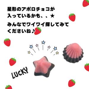 アポロチョコ 20袋 チョコレート ポイント消...の詳細画像2