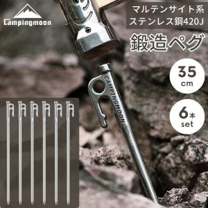 snow peak（スノーピーク） ペグ 6本セット 30cm ソリッドステーク30 R