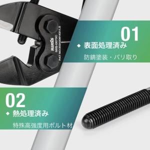 アイウィス IWISS 板タイプ バッテリータ...の詳細画像5