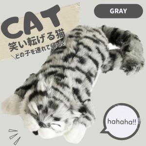 笑い猫 世界一笑う猫ちくわ】カット中に寝ちゃった！？散髪のちくわ