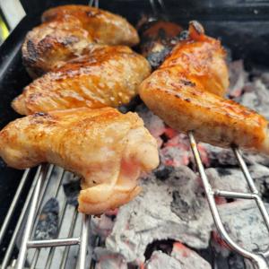 串 バーベキュー ツインスキュアー BBQ バ...の詳細画像3