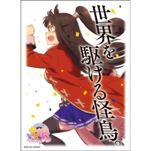 キャラクタースリーブ ウマ娘 プリティーダービー エルコンドルパサー ENM-019