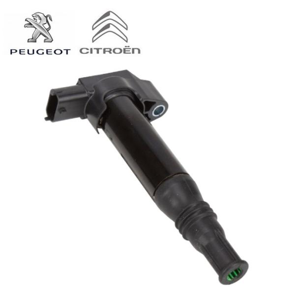 正規純正OEM CITROEN シトロエン C1 C3 C4 カクタス DS3 Cエリーゼ イグニッ...