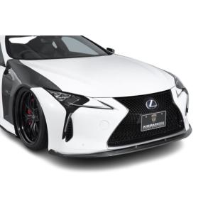 AIMGAIN SPORT LEXUS レクサス LC LC500h LC500 フロントアンダース...
