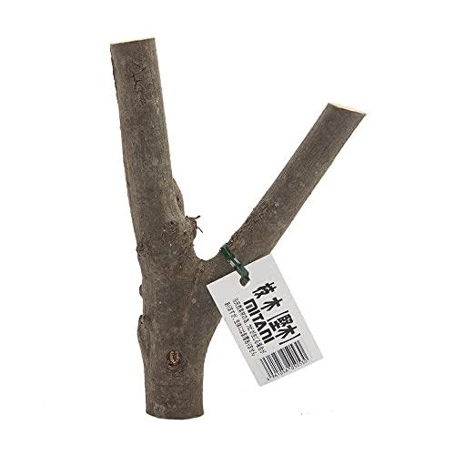 charmチャーム ミタニ 枝木 昆虫 カブトムシ クワガタ 足場 止まり木