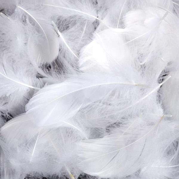 サムコス 羽シャワー カラフル 天然 染め羽根 DIY装飾小物 ウェディング 誕生日 イベント パー...