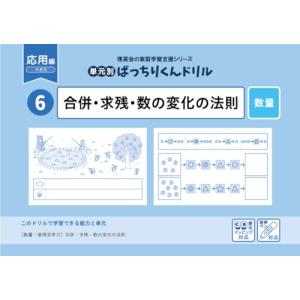 06 単元別ばっちりくんドリル 合併・求残・数の変化の法則応用編｜solvertex