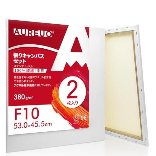 AUREUO 張りキャンバス セット F10 53.0cmx45.5cm 中目 100％コットン 2...
