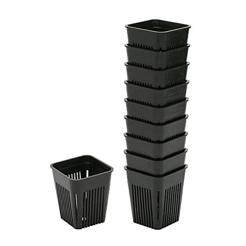 CHARM マジカルポット ７５ ２号 約２２５ｃｃ 肉厚 １０個入り サボテン