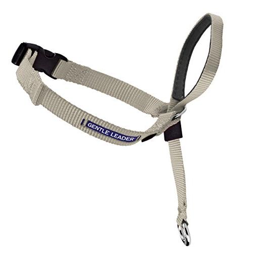 PetSafe（ペットセーフ） ジェントルリーダー 引っ張り防止 ヘッドカラー 犬用 散歩トレーニン...
