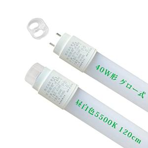 直管 40形 昼白色5500K 120cm 蛍光灯
