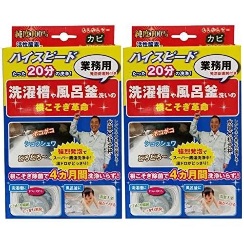風呂釜 や 洗濯槽 洗いの  根こそぎ革命  業務用 カビ取り洗浄剤×2セット