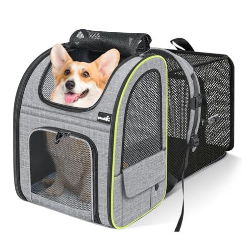 ペキュート Pecute ペットキャリー リュック 猫 キャリーバッグ ペット 犬 猫 リュック 通...