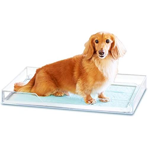 OFT クリアレット 2 M シーツストッパーセット