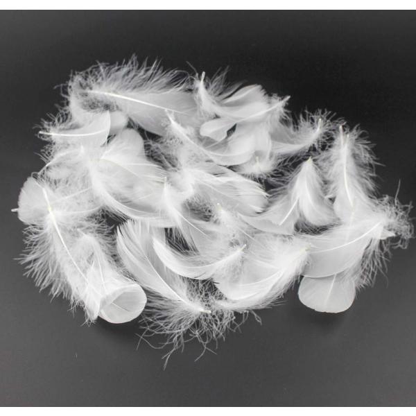 Kingsie 天然 羽根 100枚セット フェザーシャワー 羽シャワー 手芸素材 結婚式 ウエディ...