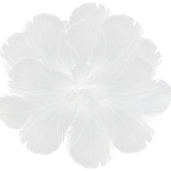 サムコス 羽シャワー フェザーシャ羽シャワー フェザーシャワー 200枚 羽 たっぷり 羽根 たっぷ...