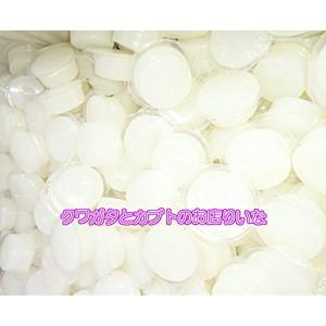 ペットグッズ・りりあ KBファーム製クワガタムシ・カブトムシ用プロゼリー 18ｇ ワイド 100個入｜solvertex