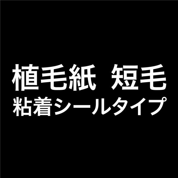 SOHOタワー 植毛紙の粘着シールタイプ 短毛 黒 A4判 2枚