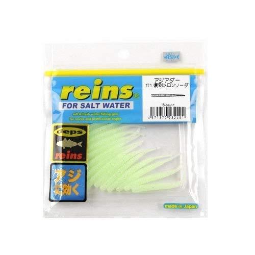 reinsレイン ワーム アジアダー 171 復刻メロンソーダ