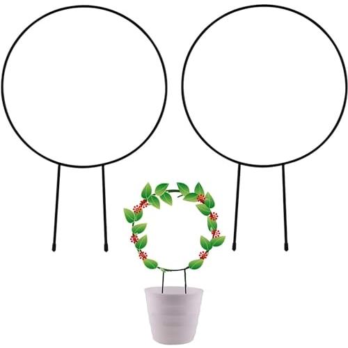 siawadeky 植物支柱 観葉支柱 2個セット 円形 観葉 つる植物 植物サポート 花支え DI...
