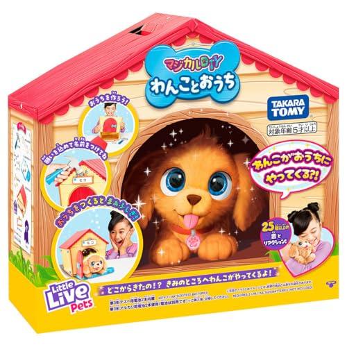 マジカルDIY わんことおうち