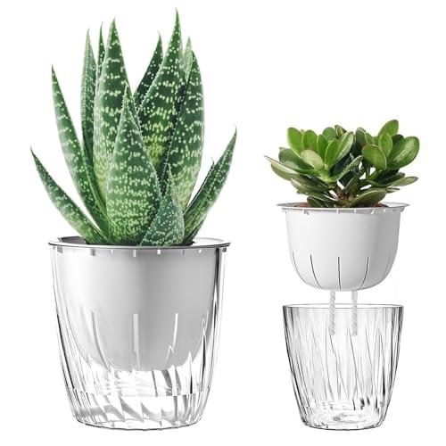 STATIN4 自動給水プランター 透明植物鉢 底面給水鉢 自動水やり鉢 プラスチック おしゃれ 観...