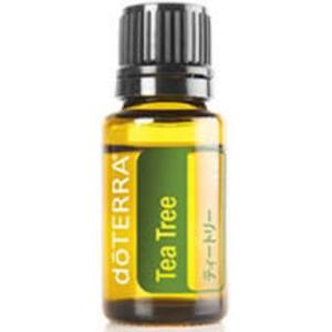 d?TERRA[ドテラ]　ティートリー [15ml] [米国内販売名：メラルーカ]｜soma-net
