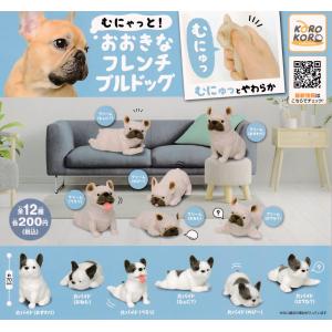 むにゃっと！おおきなフレンチブルドッグ [全12種セット(フルコンプ)] ガチャガチャ カプセルトイ｜soma-net