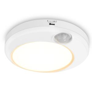 Lepro 人感 シーリングライト 小型 人感センサー ledシーリングライト 10W センサー付【簡単取付/センサー点灯/留守番機能/800lm高輝｜soma-net