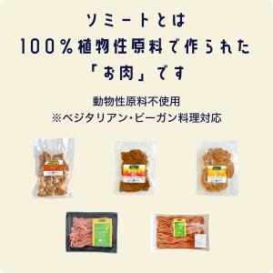 ソミート 大豆ミート 炙り焼き 100g×10...の詳細画像4