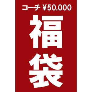 コーチ5万円 レディース福袋 （バッグ・財布・小物・キーホルダー入り）｜something