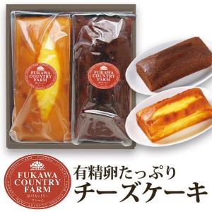 内祝い ギフト 品物 深川カントリーファーム 有精卵たっぷりチーズケーキ2本セット