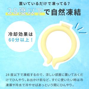 ネッククーラー アイスリング クールリング 2...の詳細画像4