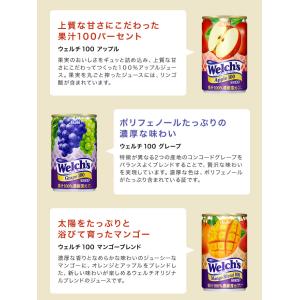 お中元 2026 送料無料 ウェルチ 100%...の詳細画像2