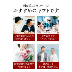 カタログギフト 内祝い グルメ 送料無料 リン...の詳細画像3