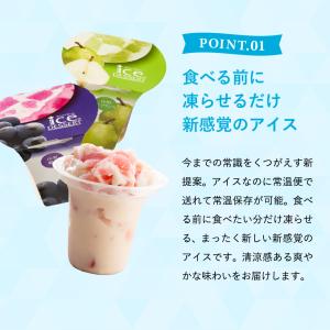 お中元 2026 アイス ギフト 内祝い ひと...の詳細画像3