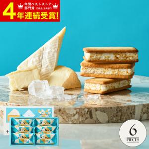 父の日 ギフト スイーツ +Cheese プラスチーズ 6個 それはおいしい方程式！（包装済、のしは外のし）  / お菓子 ギフト 寿製菓 個包装 手土産 内祝い お中元｜somurie