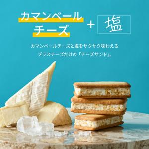 ギフト お菓子 スイーツ +Cheese プラ...の詳細画像4