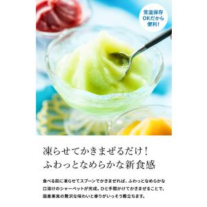 お中元 2026 アイス モロゾフ 凍らせてシ...の詳細画像3