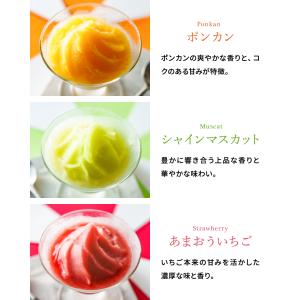 お中元 2026 アイス モロゾフ 凍らせてシ...の詳細画像4